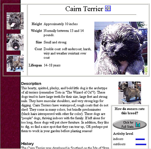 Entry for a Cairn Terrier